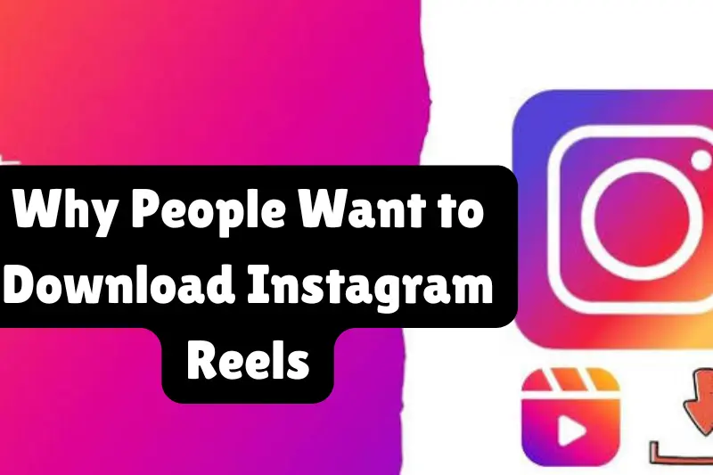 instagram video download online