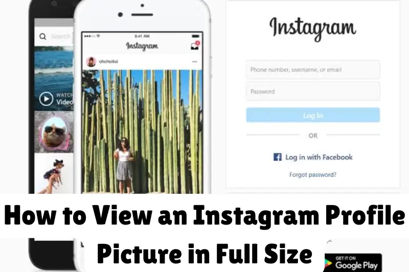 instagram profile picture