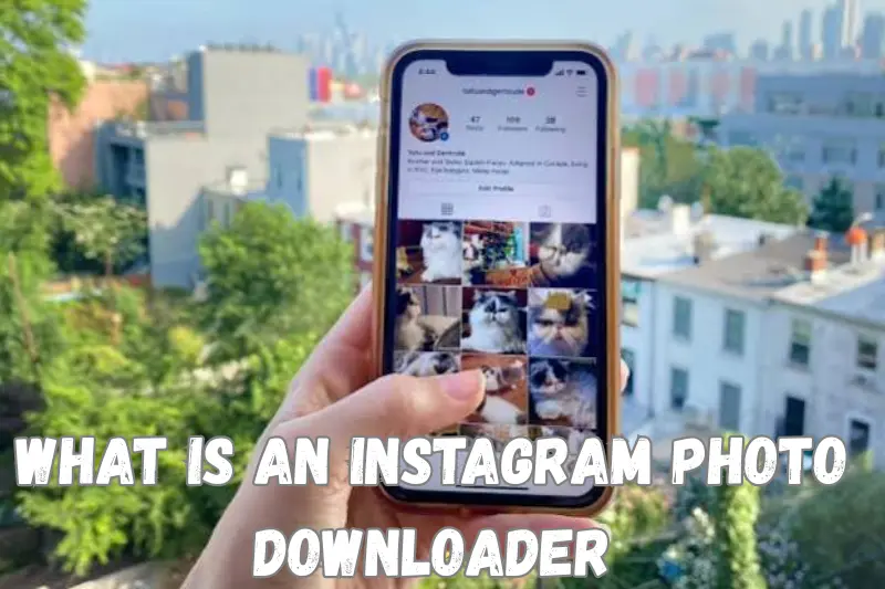 instagram photo downloader